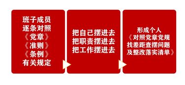 圖解公司主題教育檢視反思環(huán)節(jié)各項(xiàng)工作