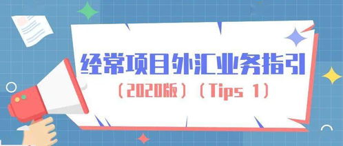 經營個人本外幣兌換特許業(yè)務指南 合規(guī)操作與市場機遇